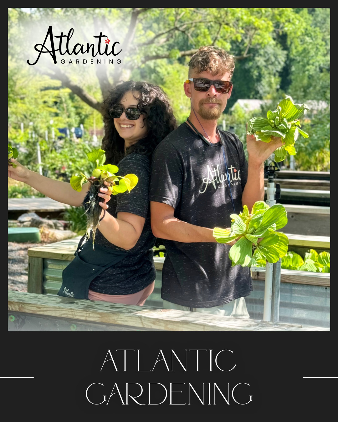 atlantic gardening