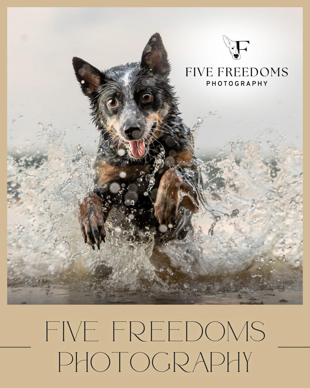 five freedoms photography