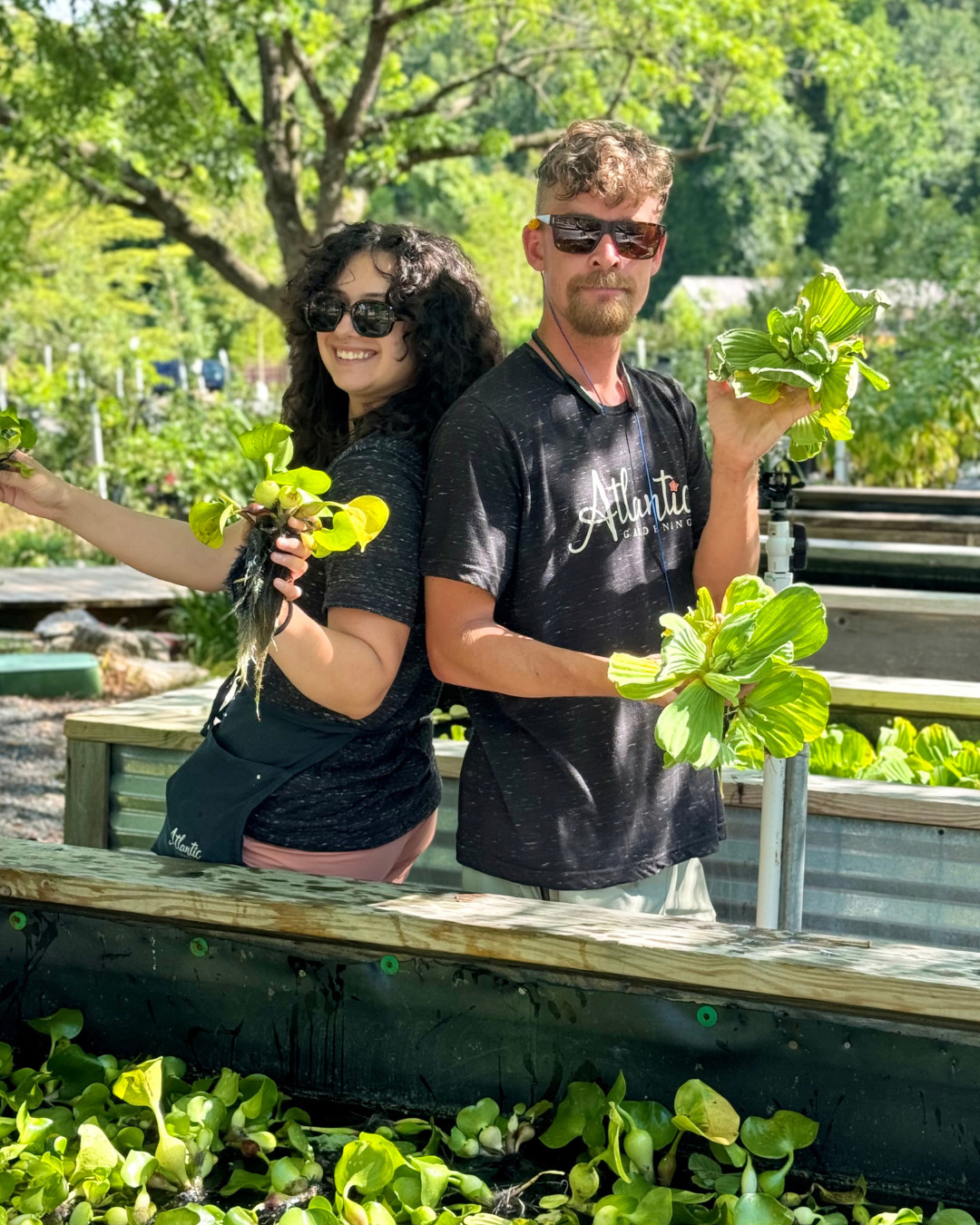 Couple displaying plants