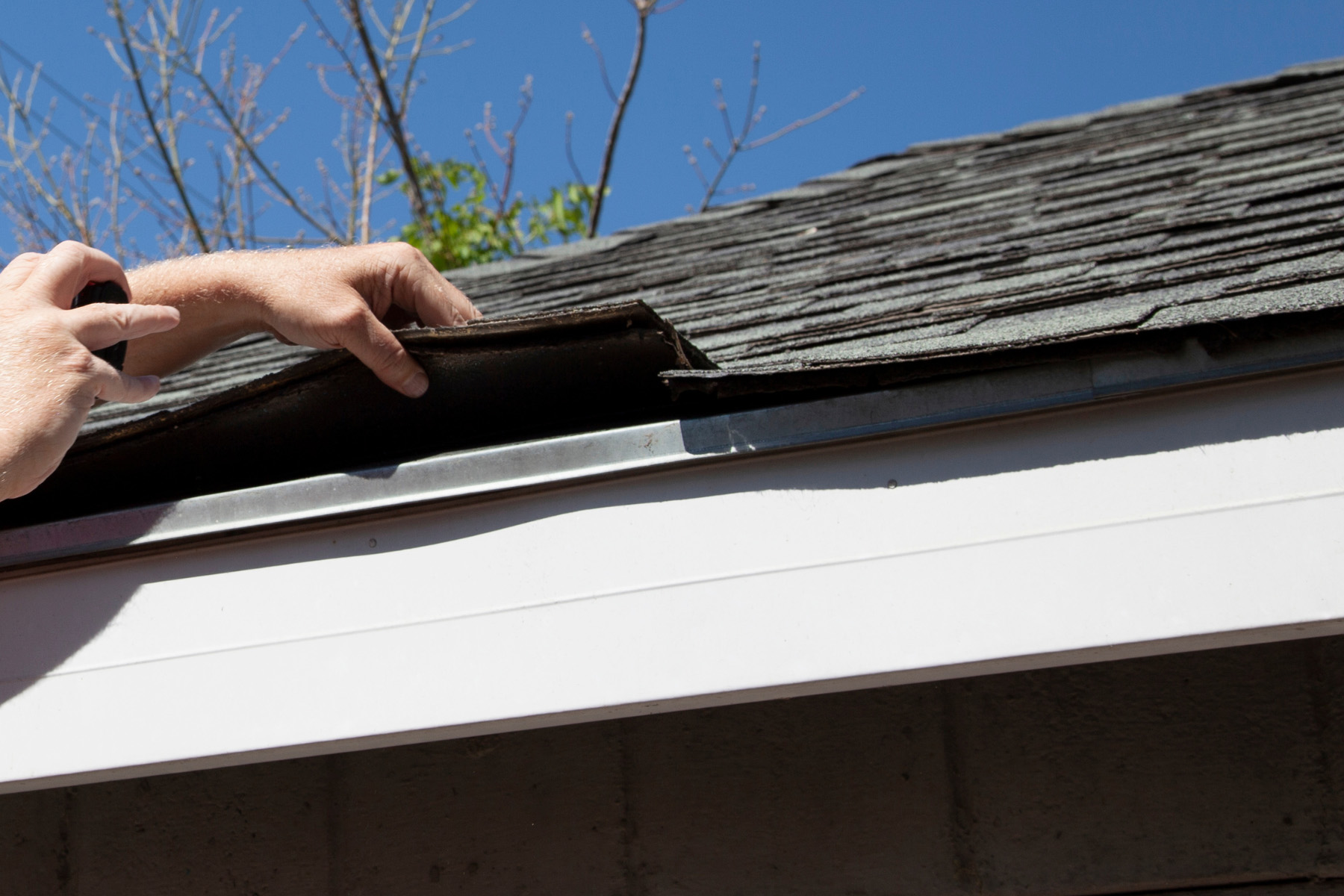 Roof