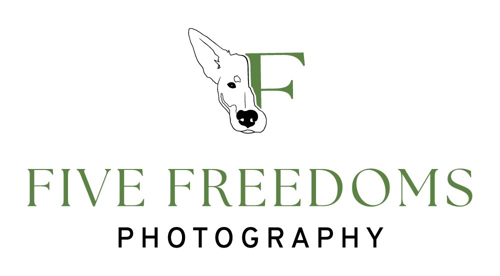Logo for Five Freedoms Photography