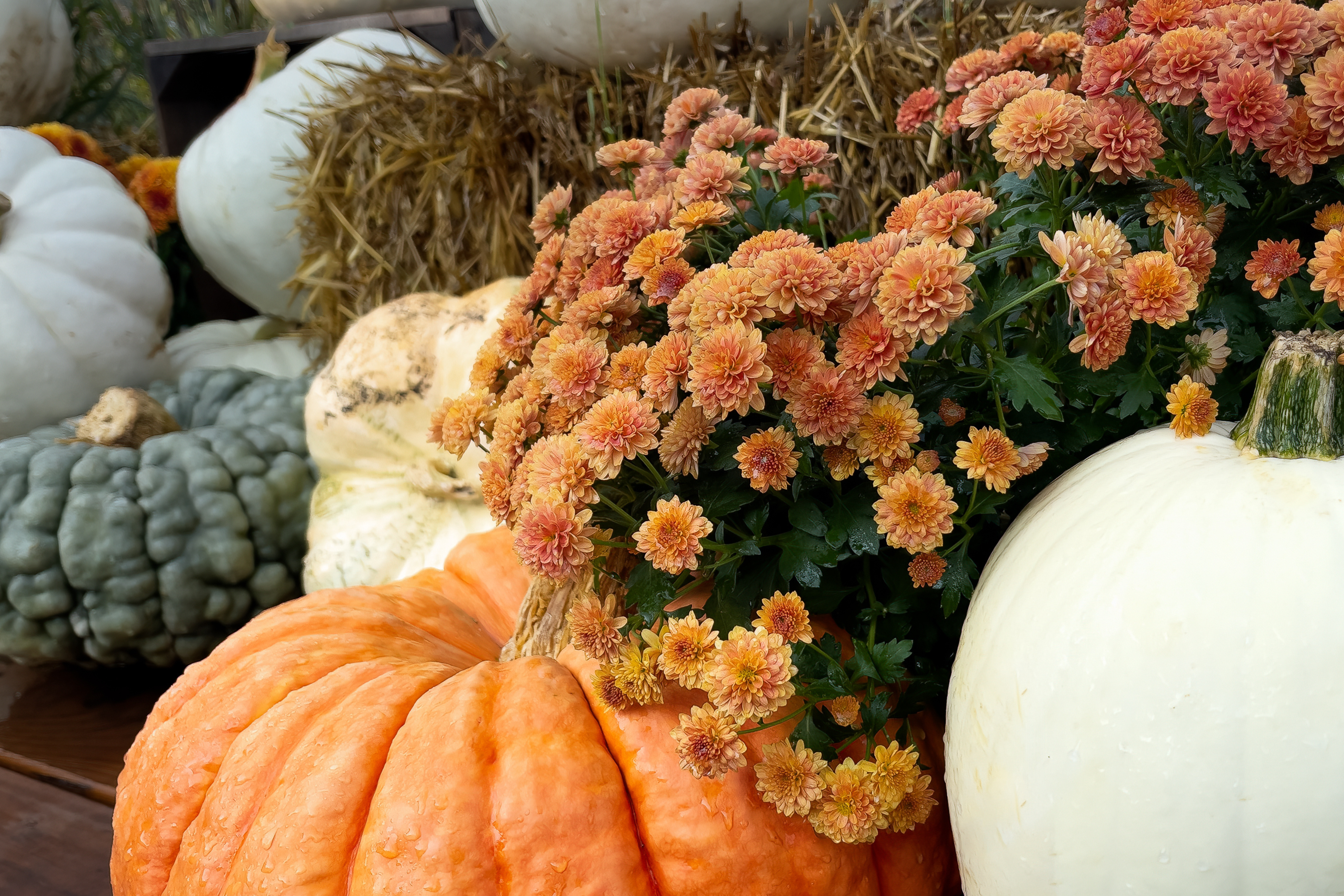 Must-Try Spots & Local Favorites | Top Picks of September 2025 screen capture