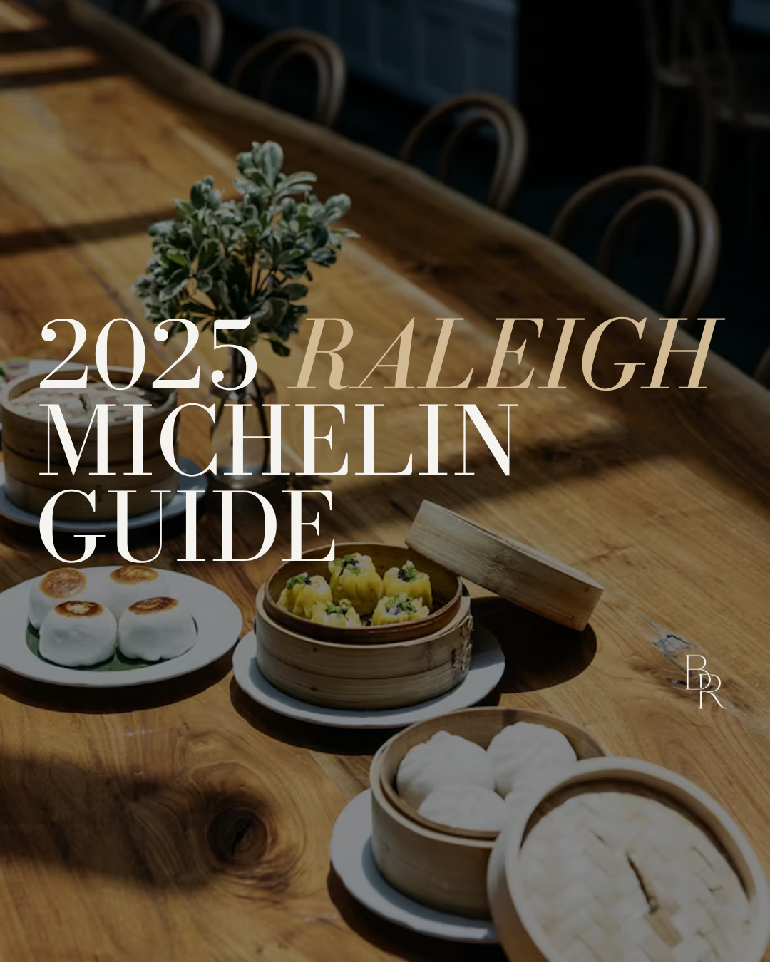 Raleigh Has Officially Gone Michelin screen capture