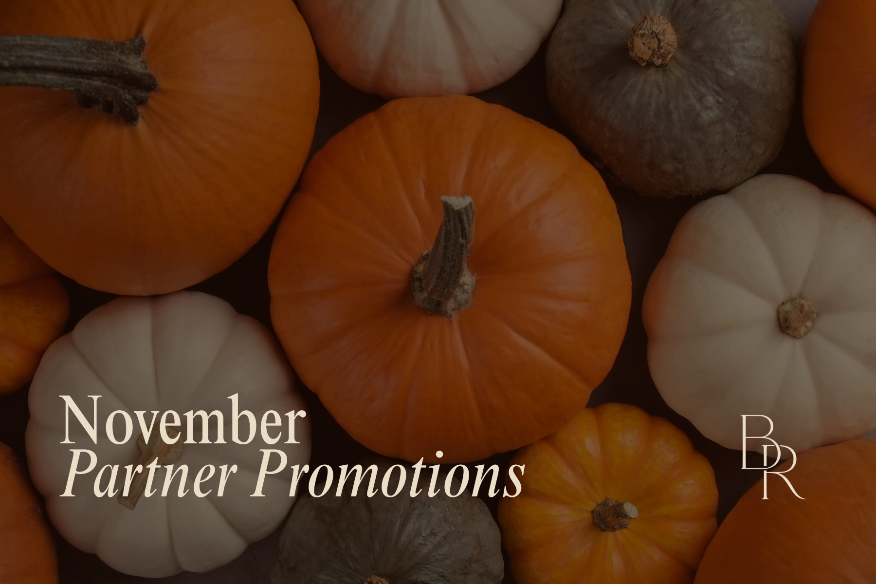 Deals, Discounts, & Specials You Won’t Want to Miss This Month screen capture