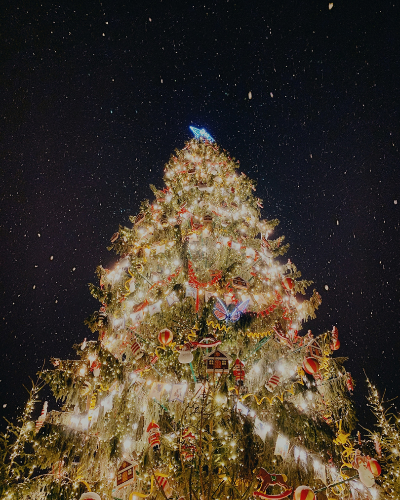 The Triangle’s Tree Lightings & Christmas Parades | Your 2025 Guide to Holiday Events screen capture