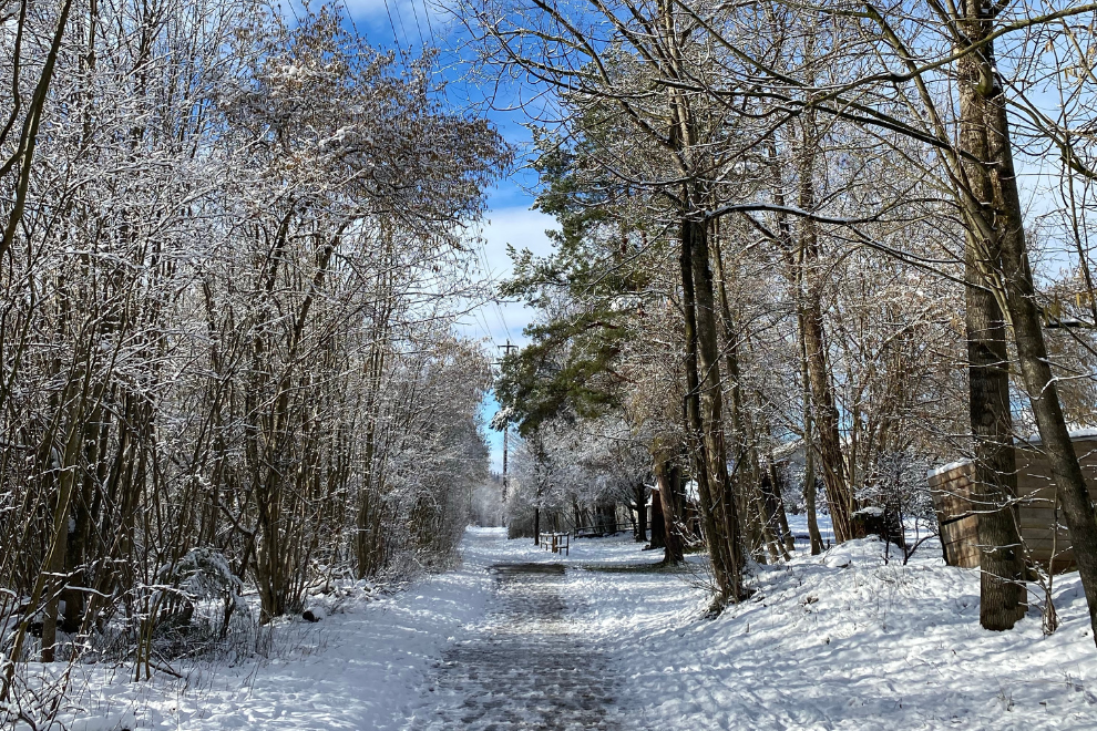 Fresh Starts & Cultural Spark | Top Picks of January 2026 screen capture