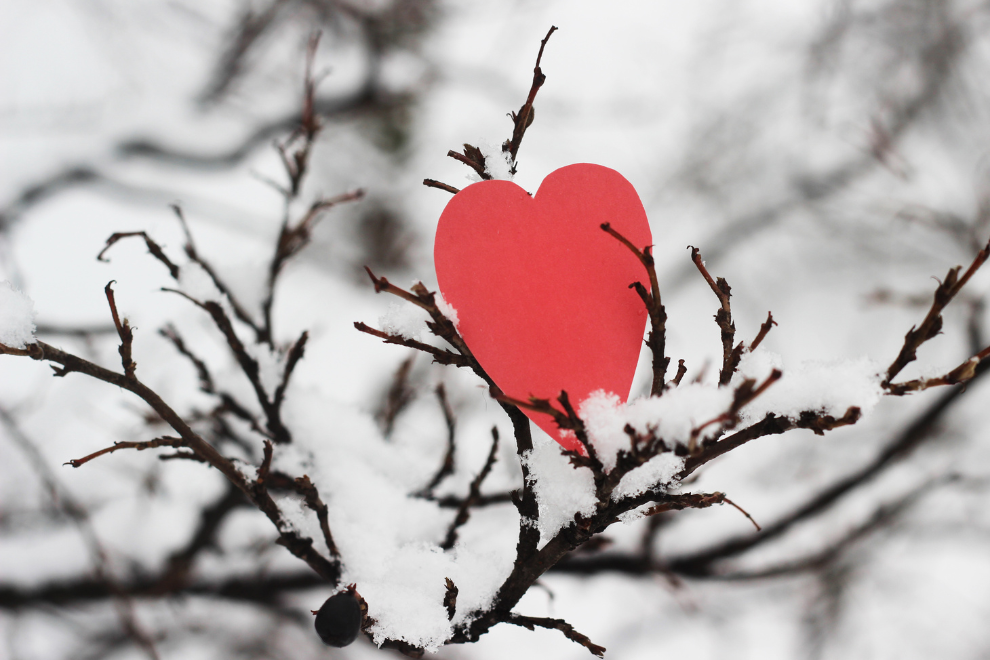 A Season for Subtle Indulgence | Top Picks of February 2026 screen capture