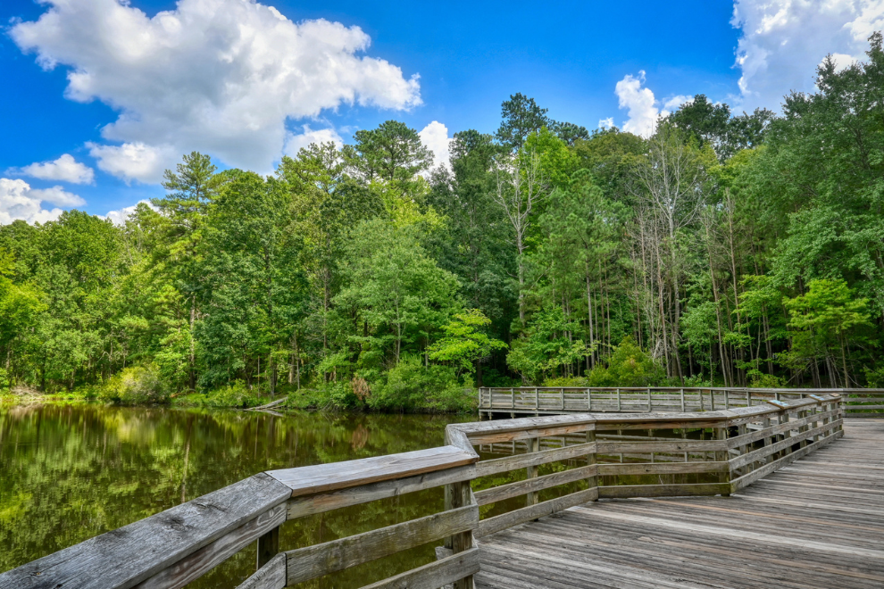 The Raleigh Summer Bucket List | The Best Things to Do in the Triangle This Season screen capture